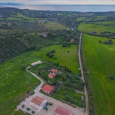 Avedi * Siniscola