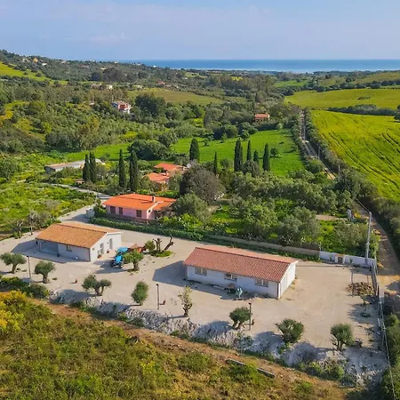 Avedi * Синискола