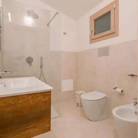 Avedi 시니스콜라