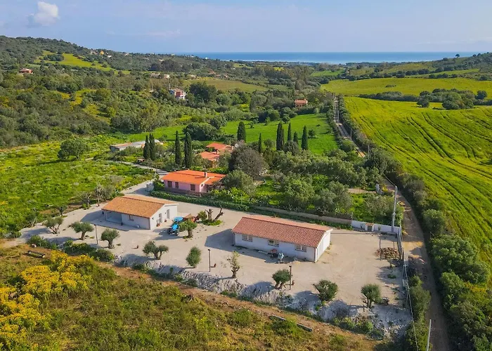 Avedi * سينيسكولا